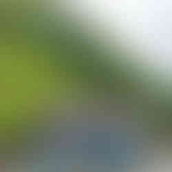 The fleet of easy rider bikes