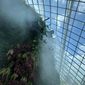 Waterfall at the cloud dome in SIN, second tallest indoor waterfall in the world
