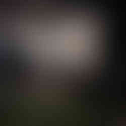 music nights at camp