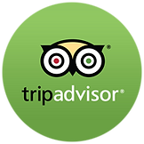 trip advisor logo