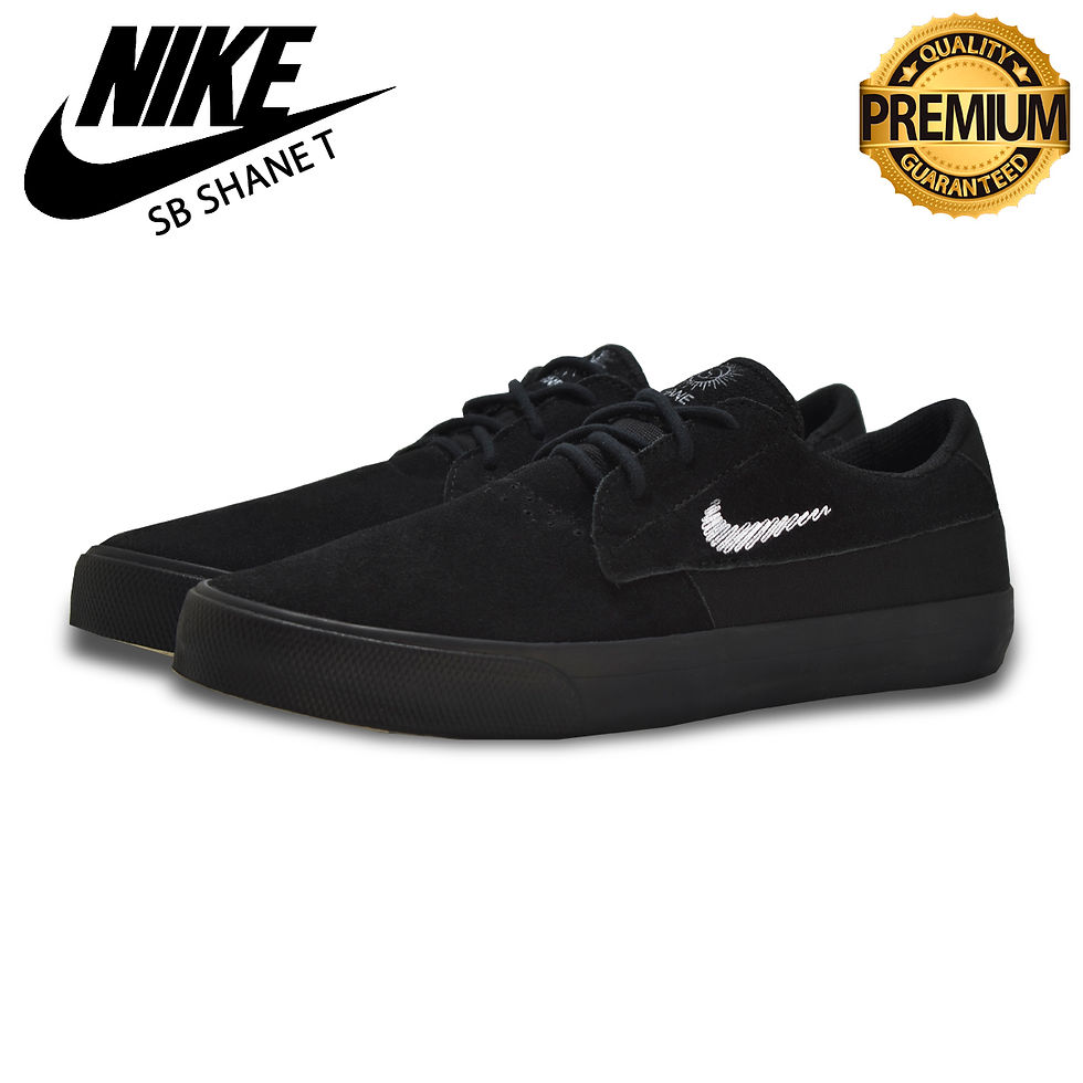 NIKE SB SHANE T