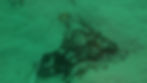 Possible winch neptunes divers