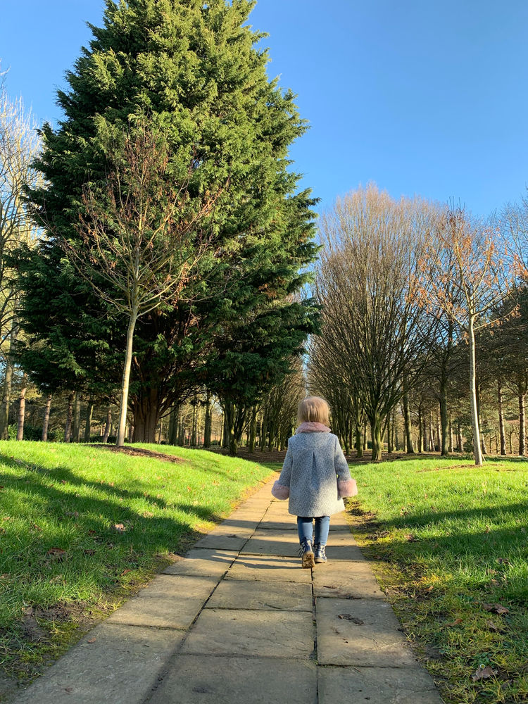 Milton Keynes Tree Cathedral