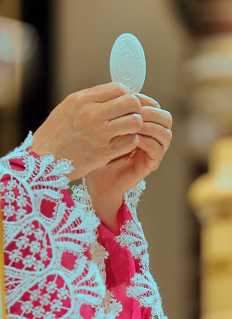 Priest Celebrating Mass_edited.jpg
