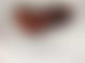 Catalogue for In Poor Taste: The Genetically Modified Foods Kitchen