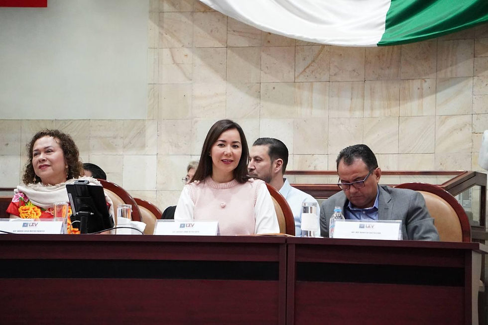 DIPUTADA HAYDEÉ REYES DESTACA ACCIONES DE SEGURIDAD EN EVALUACIÓN DEL PRIMER INFORME DE GOBIERNO EN OAXACA.