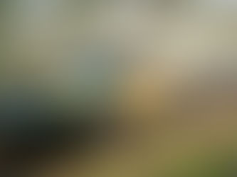 Forza Horizon 5 incluirá una opción de accesibilidad nunca vista en la industria. 