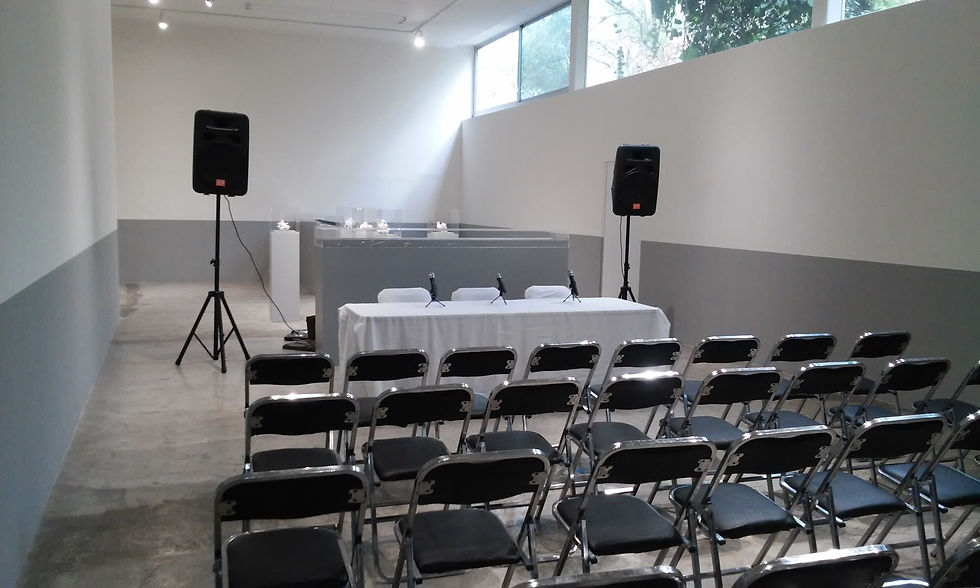 Audio Conferencias