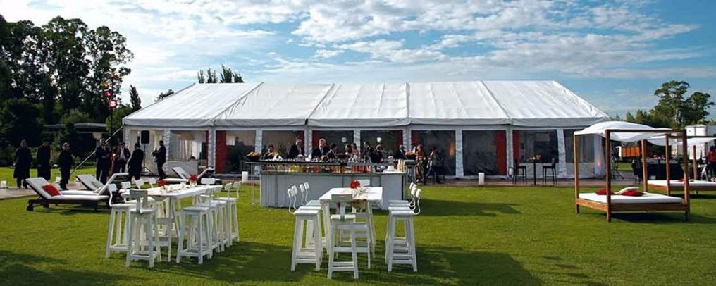 carpa 2019.jpg