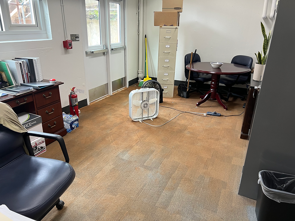 Specialty Cleanup Services