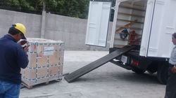 Imagen 11