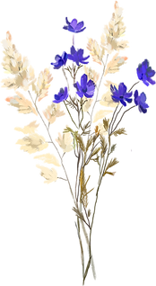 dried-flowers-6618166_1280.png