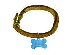 Zackarina's collar.png