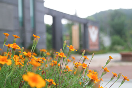 안젤리미술관 외부전경