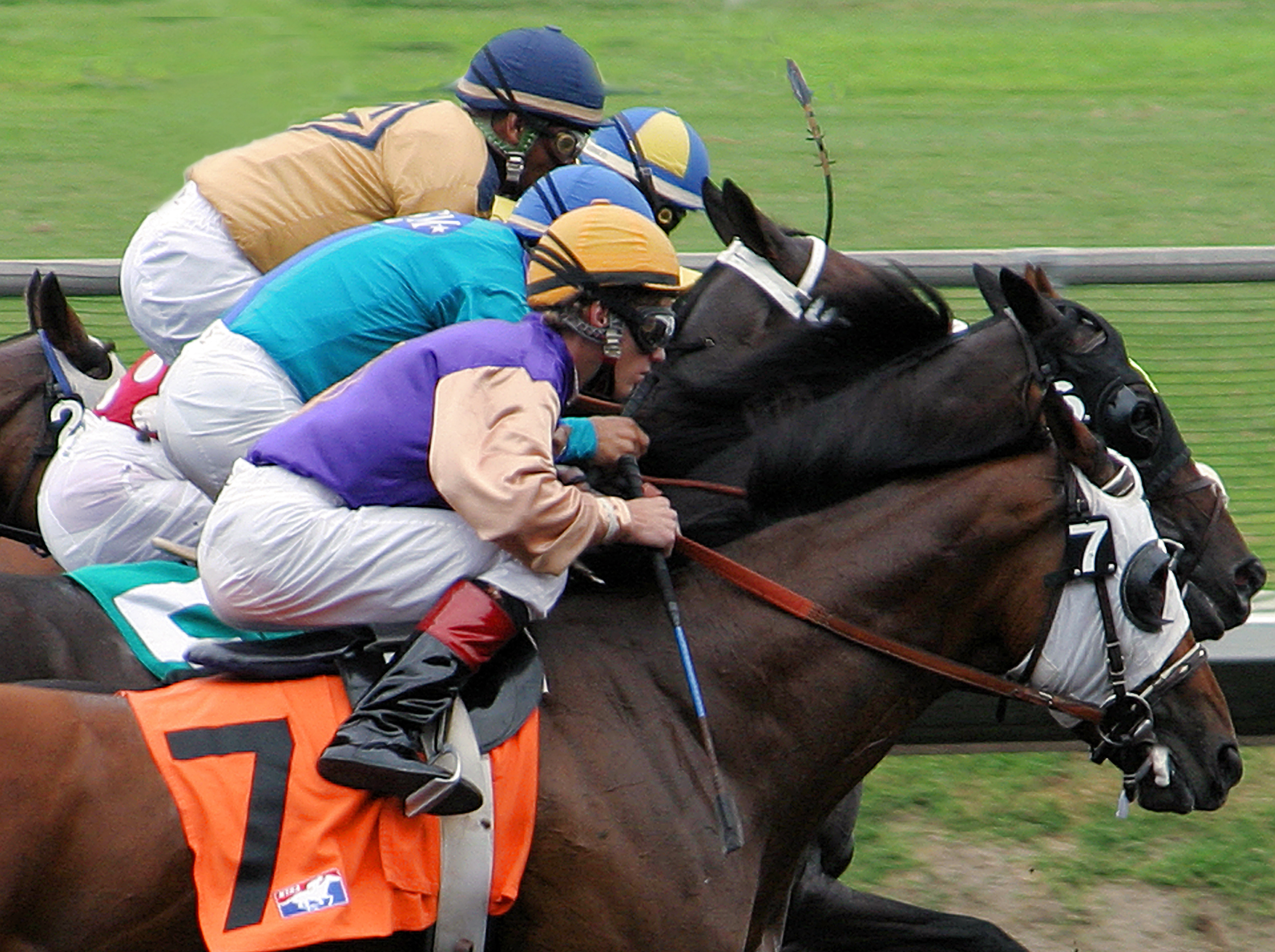 A Day At The Races