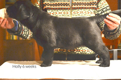 Apple 6wks stack_edited.jpg