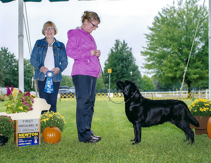 Norah_1st Am Bred JSLRC_2018.08.31.jpeg