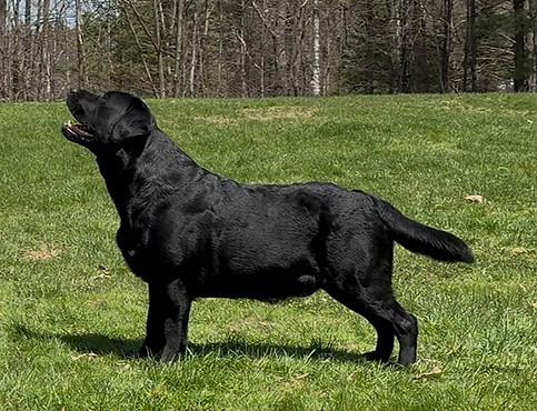 Ullr_2026.04.26.jpg