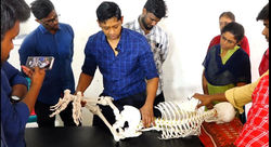 Chiropractic Workshop 2023