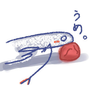 jikosyokai_edited.jpg