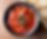 SALSA