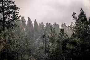 Colorado mountain proposal photographed during winter with snow falling and dramatic mountain backdrop