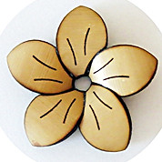 My_flower.JPG
