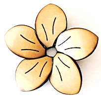 My_flower_edited.jpg