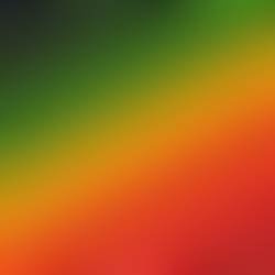 ¿SABES CUÁL ES LA PSICOLOGÍA DEL COLOR?
