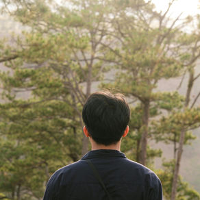 El Poder de la Pausa