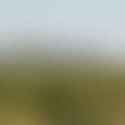 Cooper Benchmark and Cutthroat gap