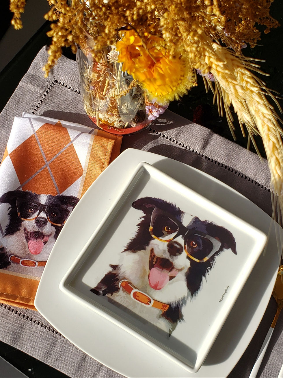 Miniatura: Conjunto Pratos de Porcelana Pets (3 peças) Cachorro