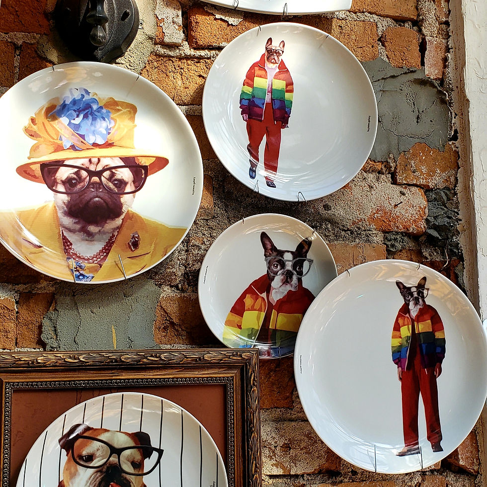 Miniatura: Prato de Porcelana Cachorro French Bulldog Fashion - 24 cm
