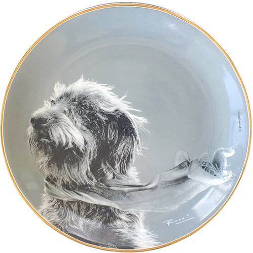Prato de Porcelana Cachorro Vira Lata Trim in the wind - Ronn
