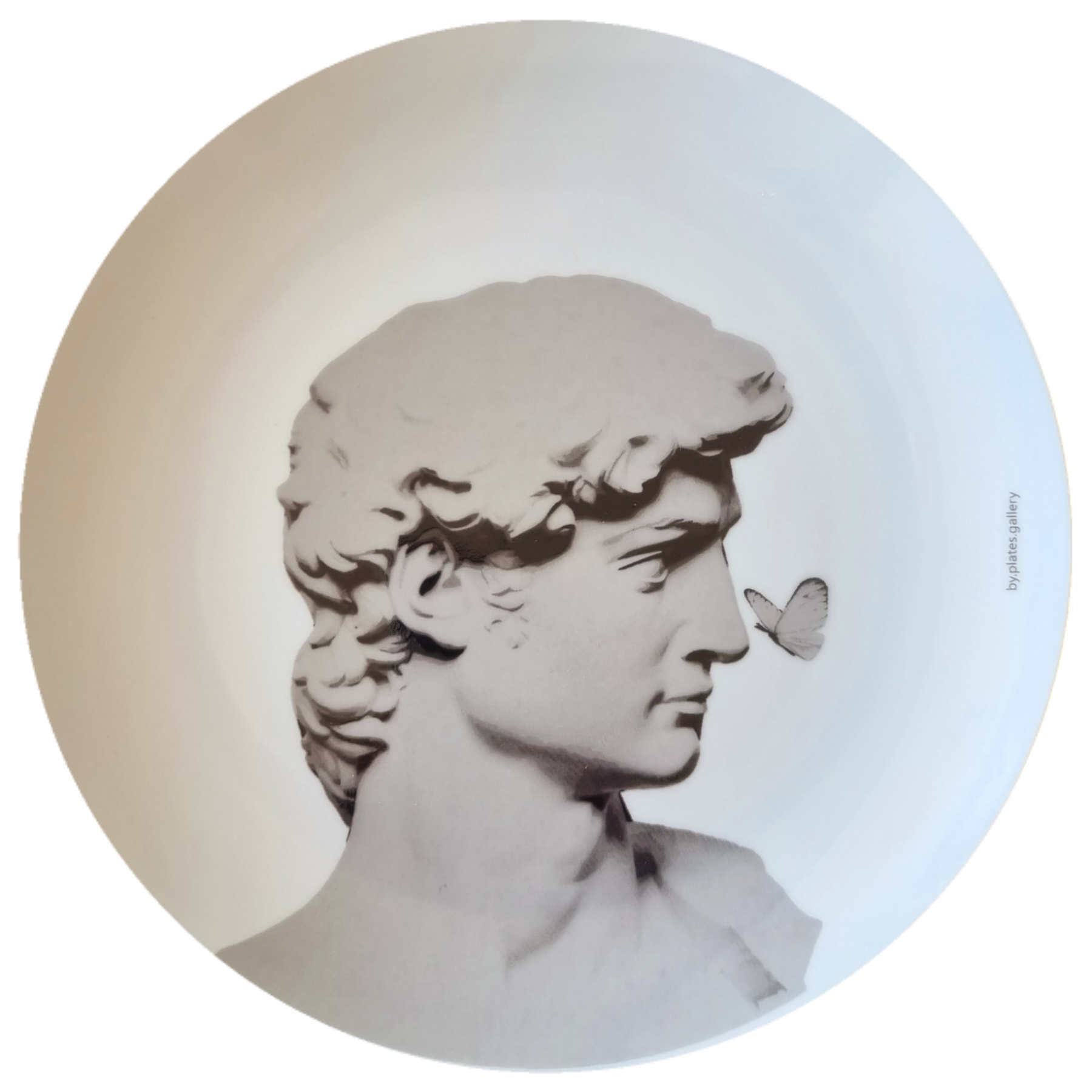 Prato de Porcelana Davi - 24 cm