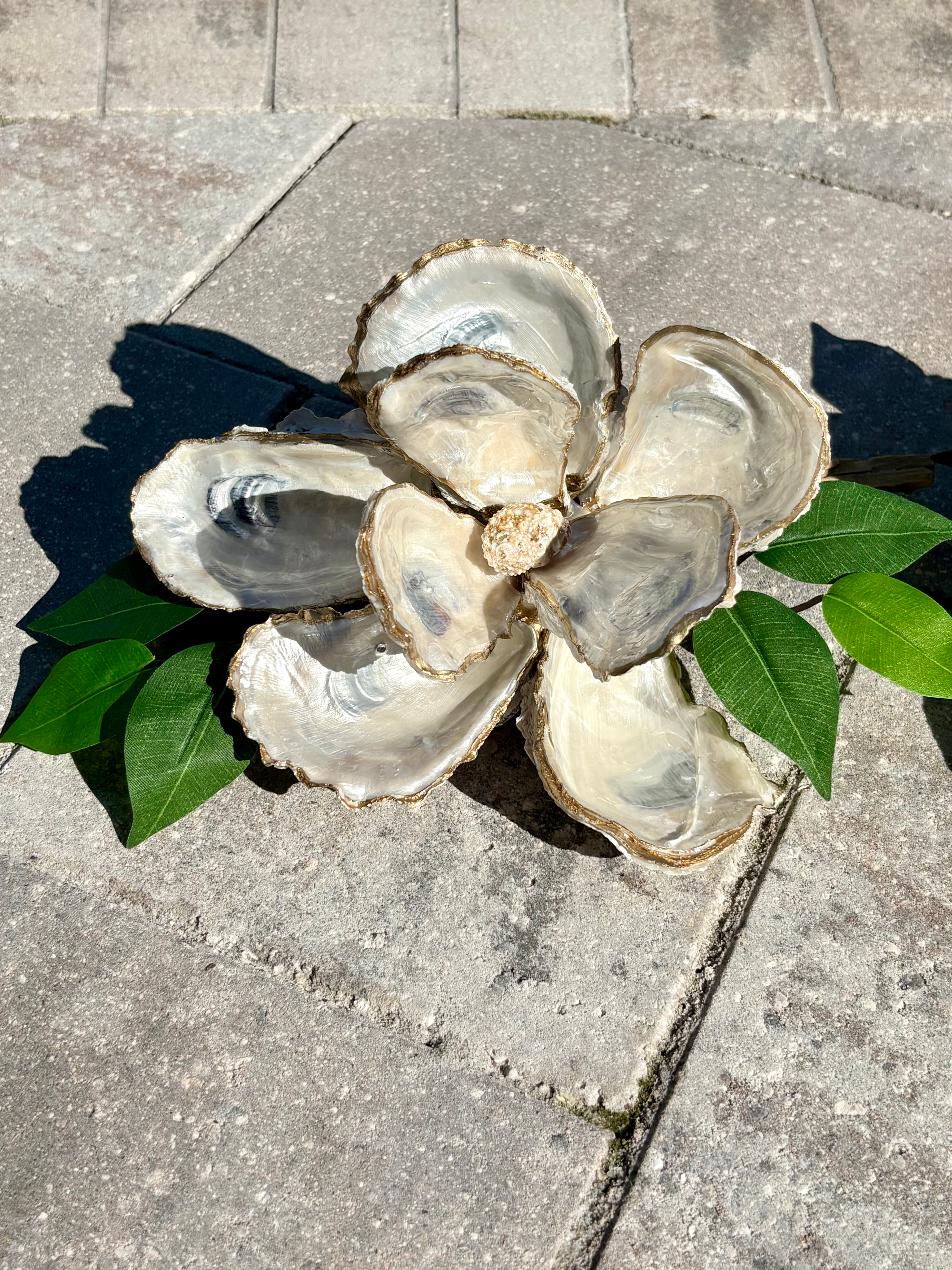 Oyster Magnolia Flower Art