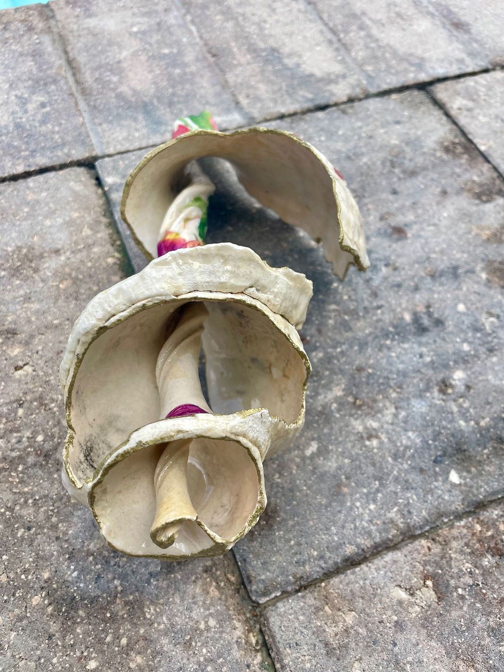 Thumbnail: Tulip Broken Horse conch Shell Art