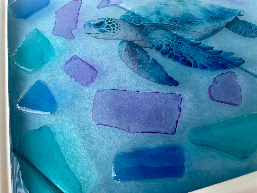 Thumbnail: Turtle Seaglass Frame Art