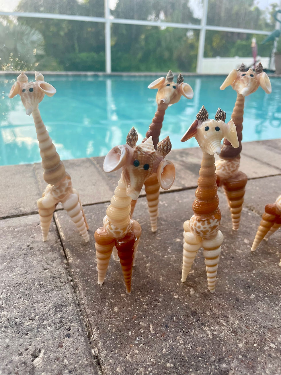 Thumbnail: Shell Giraffe