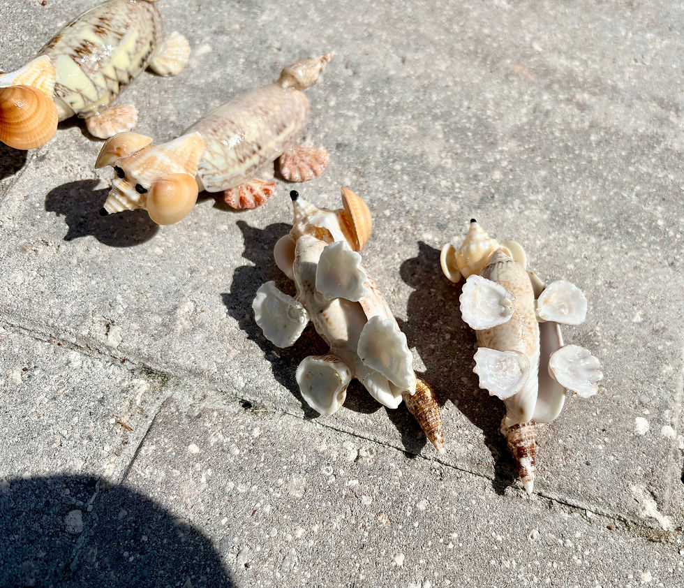 Thumbnail: Shell Dog