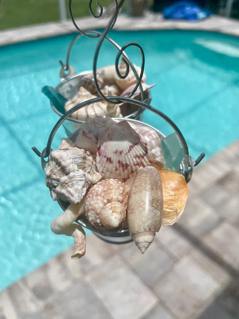 Thumbnail: Bucket of Shells Ornaments