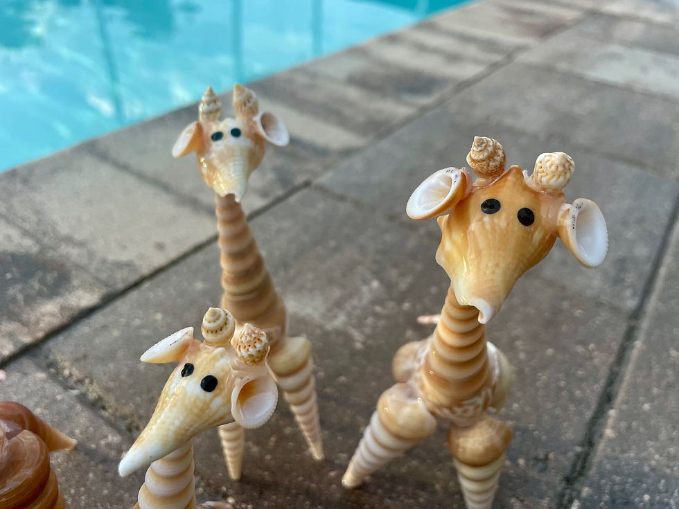 Thumbnail: Shell Giraffe