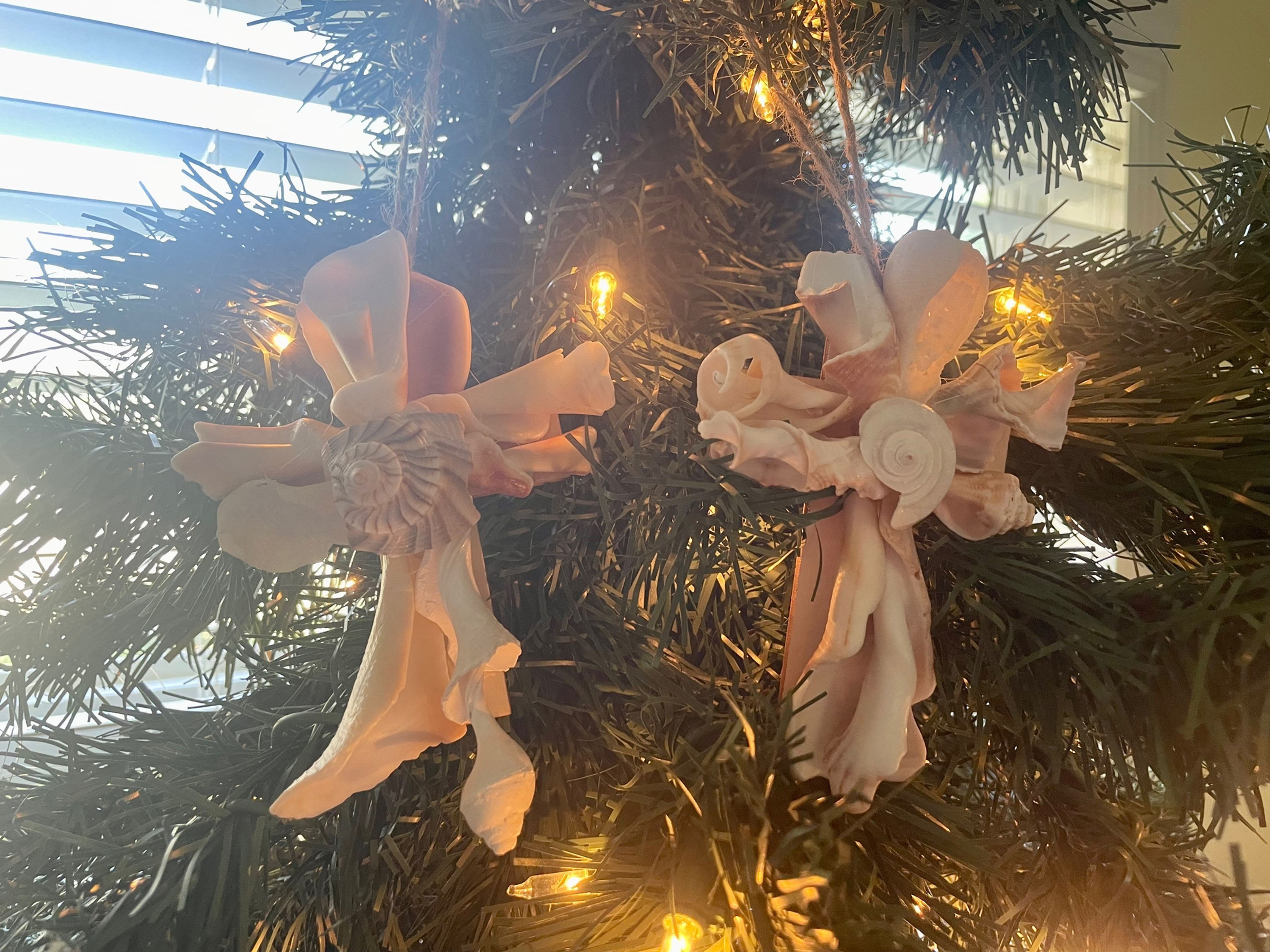 Broken Shell Ornaments