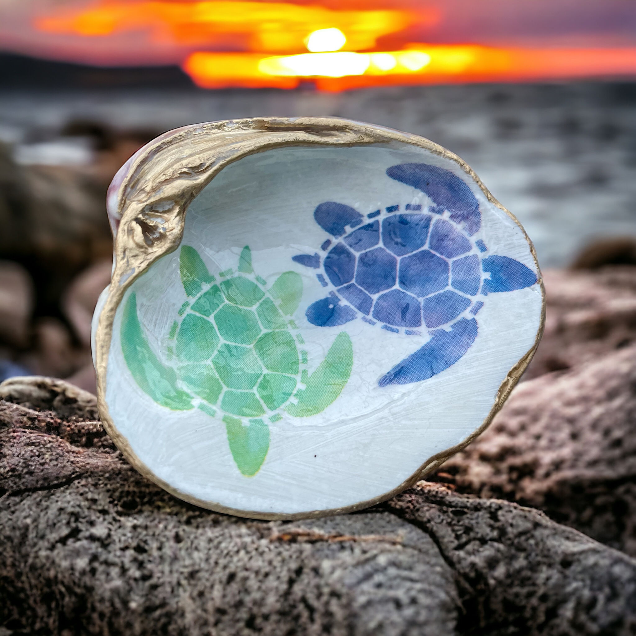 Colorful Turtle  Clam Dish