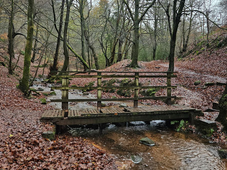 A rickety old bridge over a forest stream
