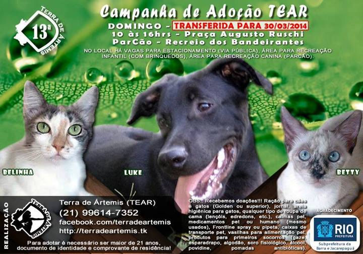 13a Campanha TEAR