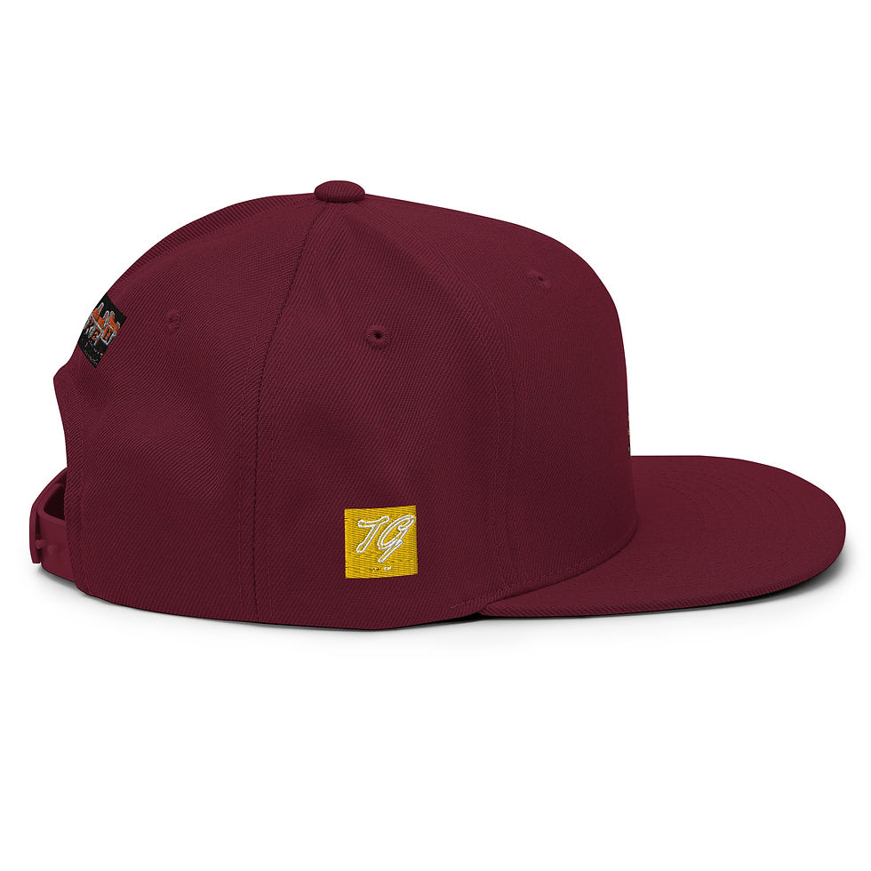 Thumbnail: THiRD GEAR Snapback Hat