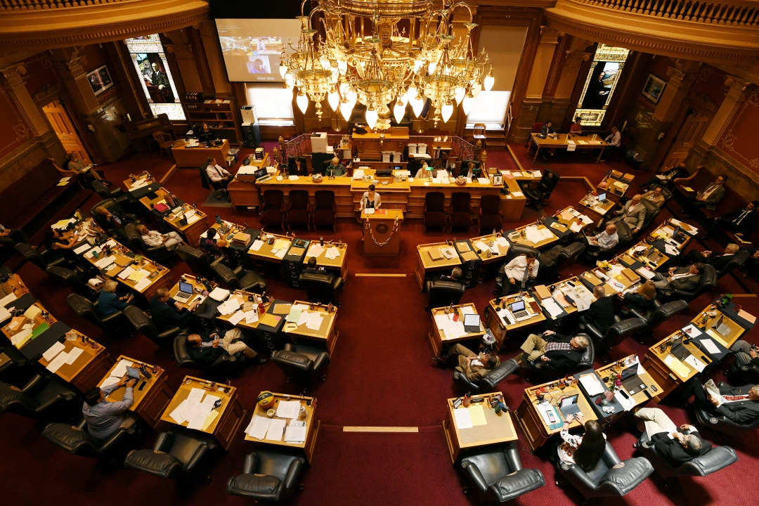 senate CO.webp