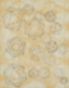 Capsid Conversation