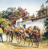 MULAS CARGA PANELA.jpg